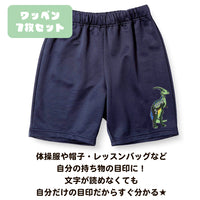 ワッペン 7枚セット アイロン 恐竜 ダイナソー ネコポス