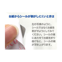 絵合わせシール 左右シール 上履き 上靴 うわばき うわぐつ 履き間違え防止 サンリオ シナモン キティ マイメロディ ネコポス