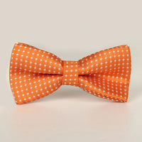 キッズ 蝶ネクタイ ネコポス