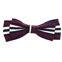 ドッグアクセサリー 蝶ネクタイ ネコポス