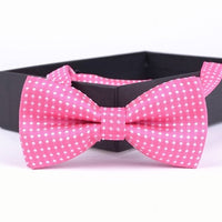 キッズ 蝶ネクタイ ネコポス