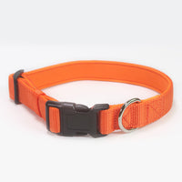 ドッグ アクセサリー 首輪 ネコポス