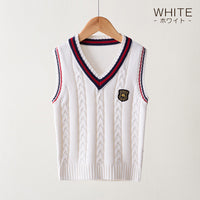 キッズ Vネックニットベスト ケーブル編み ネコポス