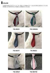 ドッグアクセサリー 蝶ネクタイ ネコポス