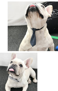 ドッグアクセサリー 蝶ネクタイ ネコポス