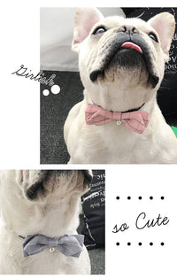 ドッグアクセサリー 蝶ネクタイ ネコポス