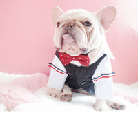 ドッグアクセサリー 蝶ネクタイ ネコポス