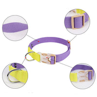 ドッグ アクセサリー 首輪 ネコポス