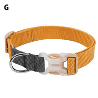 ドッグ アクセサリー 首輪 ネコポス