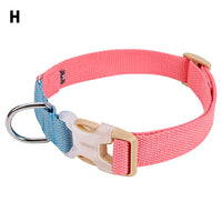 ドッグ アクセサリー 首輪 ネコポス