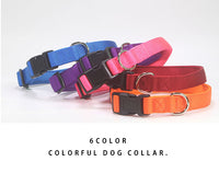 ドッグ アクセサリー 首輪 ネコポス