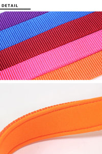 ドッグ アクセサリー 首輪 ネコポス