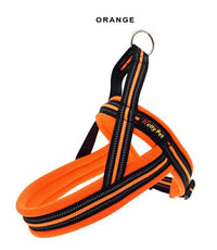 ドッグ ハーネス ネコポス