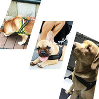 ドッグ ハーネス ネコポス