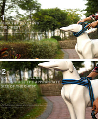 ドッグ ハーネス ネコポス