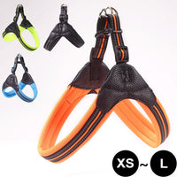 ドッグ ハーネス ネコポス