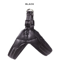 ドッグ ハーネス ネコポス