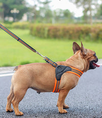 ドッグ ハーネス ネコポス