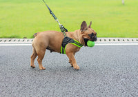 ドッグ ハーネス ネコポス