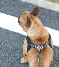 ドッグ ハーネス ネコポス