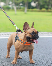 ドッグ ハーネス ネコポス