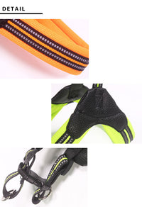 ドッグ ハーネス ネコポス