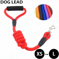 ドッグ リード ネコポス