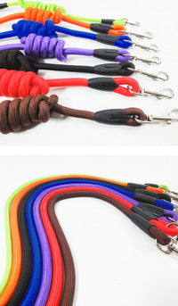 ドッグ リード ネコポス