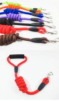 ドッグ リード ネコポス