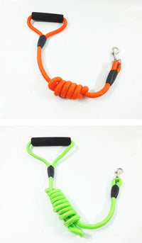 ドッグ リード ネコポス