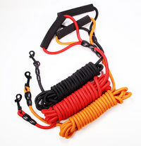 ドッグ ロングリード 2m ネコポス