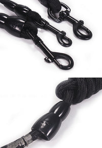 ドッグ ロングリード 5m ネコポス