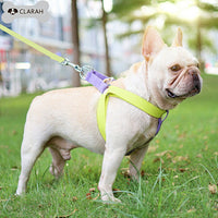 ドッグ ハーネスリードセット ネコポス