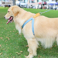 ドッグ ハーネスリードセット ネコポス