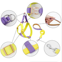 ドッグ ハーネスリードセット ネコポス