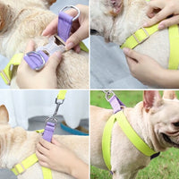 ドッグ ハーネスリードセット ネコポス