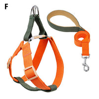 ドッグ ハーネスリードセット ネコポス