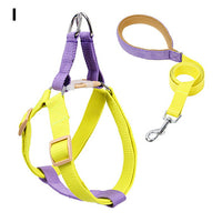 ドッグ ハーネスリードセット ネコポス