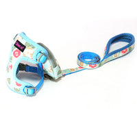 ドッグ ハーネスリードセット ネコポス