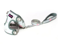 ドッグ ハーネスリードセット ネコポス