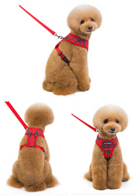 ドッグ ハーネスリードセット ネコポス