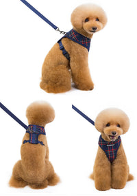 ドッグ ハーネスリードセット ネコポス