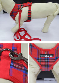 ドッグ ハーネスリードセット ネコポス