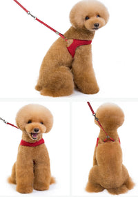 ドッグ ハーネスリードセット ネコポス