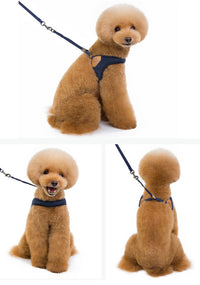 ドッグ ハーネスリードセット ネコポス