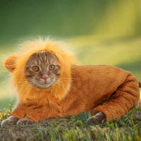 ドッグウェア コスプレ ネコポス