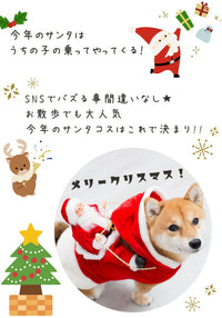 ドッグウェア コスプレ