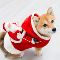 ドッグウェア コスプレ