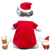 ドッグウェア コスプレ ネコポス