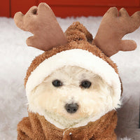 ドッグウェア コスプレ ネコポス